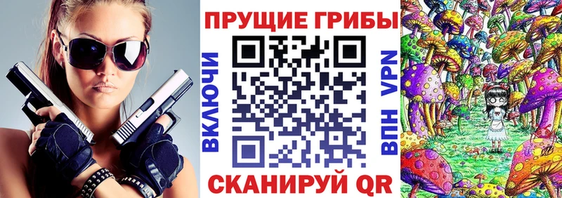 Галлюциногенные грибы Cubensis  Кизилюрт 